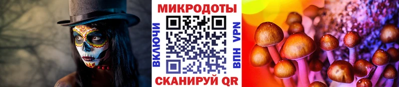 Галлюциногенные грибы ЛСД  Петров Вал 